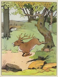 Stag Running Through a Forest